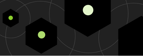 ITERATIVE WACHSTUMSPLANUNG